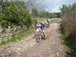 gal/2010/03 - La Via delle Miniere 2010/Al podere Quato/_thb_DSCF0721-01.jpg